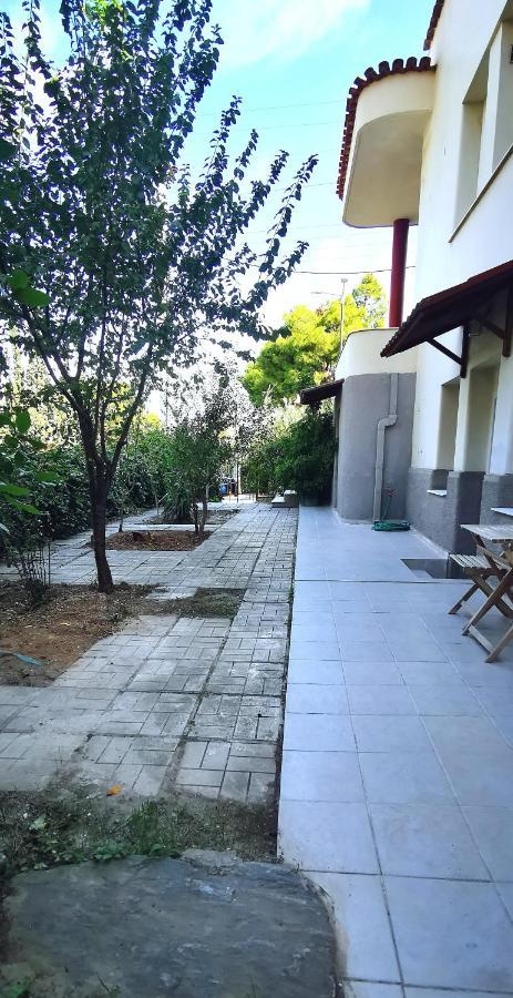 Amazon Spacious 3Bedroom Premium Neighbourhood Athens Luaran gambar